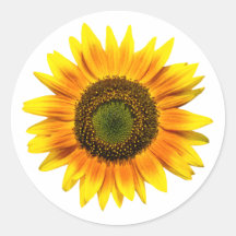 Sunflower Round Sticker