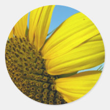 Sunflower Round Sticker