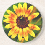 Sunflower Sandstone Coaster