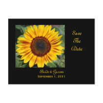 Sunflower Save The Date Postcard