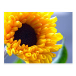 Sunflower Seasonal Inspirationals Postcards