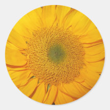 Sunflower Sticker