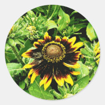 Sunflower Sticker