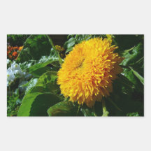 Sunflower Sticker