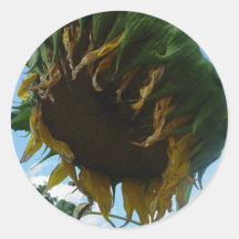 Sunflower Sticker Sheets