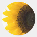 sunflower stickers
