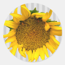Sunflower Stripe Wedding Sticker III