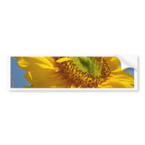 SUNFLOWER SunFlowers Sun Flowers Cards Gifts Mugs