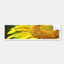 SUNFLOWER SunFlowers Sun Flowers Cards Gifts Mugs Bumper Sticker