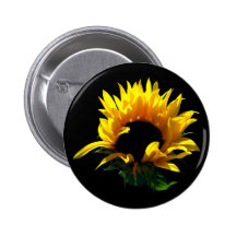 Sunflower Sunrise Buttons