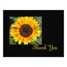 Sunflower Thank You Cards Announcements