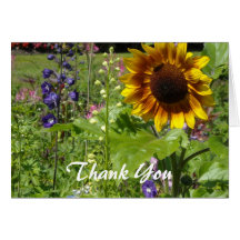 Sunflower Thank You Greeting Card