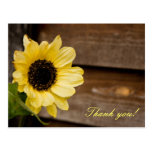 Sunflower thank you postcard