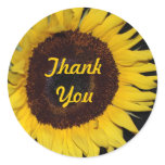Sunflower, Thank You stickers