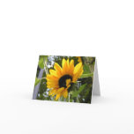 Sunflower @ The Children's Garden cards