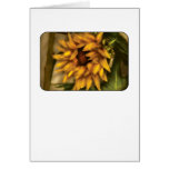 Sunflower - The Sunflower Card