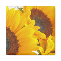 Sunflower Triplettes Magnet