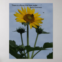 Sunflower with Bees Print