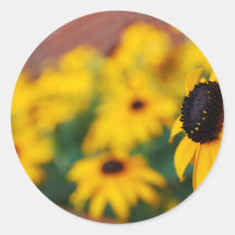 Sunflower with other sunflowers round stickers