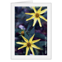 Sunflowers 2002 greeting cards