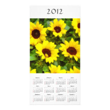 Sunflowers 2012 Calendar Photo Card