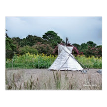Sunflowers and the Indian Tent Postcards