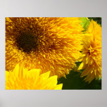 Sunflowers art prints Yellow Sun Flower Garden