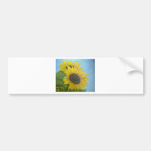 Sunflowers Bumper Sticker