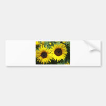 Sunflowers Bumper Sticker
