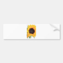 Sunflowers Bumper Stickers
