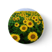 Sunflowers Button