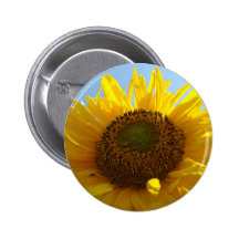 SUNFLOWERS Buttons Sun Flower BUTTON Gifts