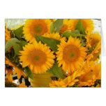 Sunflowers Card
