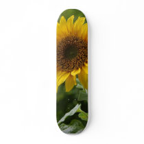 Sunflowers In Field Skate Boards