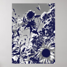 Sunflowers in late afternoon print