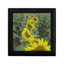 Sunflowers Jewelry Box