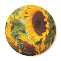 Sunflowers Fridge Magnet