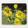 Sunflowers Mouse Mat