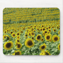 Sunflowers Mousepad mousepads