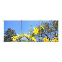 Sunflowers N Sky wrapped Canvas Print