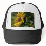 Sunflowers Petals Pollen Yellow Mesh Hat