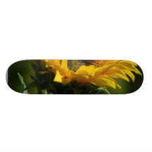Sunflowers Petals Pollen Yellow Skateboard Decks
