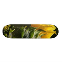 Sunflowers Petals Skateboard Decks