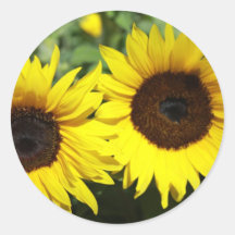 Sunflowers Round Stickers