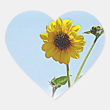 Sunflowers Sticker
