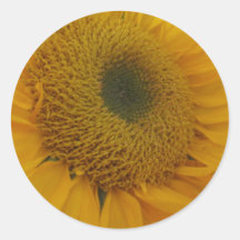 Sunflowers Sticker