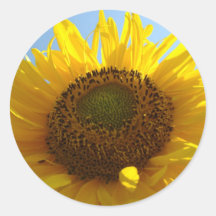 SUNFLOWERS STICKERS STICKER SHEETS Gifts