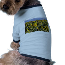 Sunflowers, Tuscany, Italy  flowers Doggie Tshirt