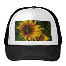 Sunflowers Yellow Hats