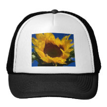 SunflowerZZZ Mesh Hats